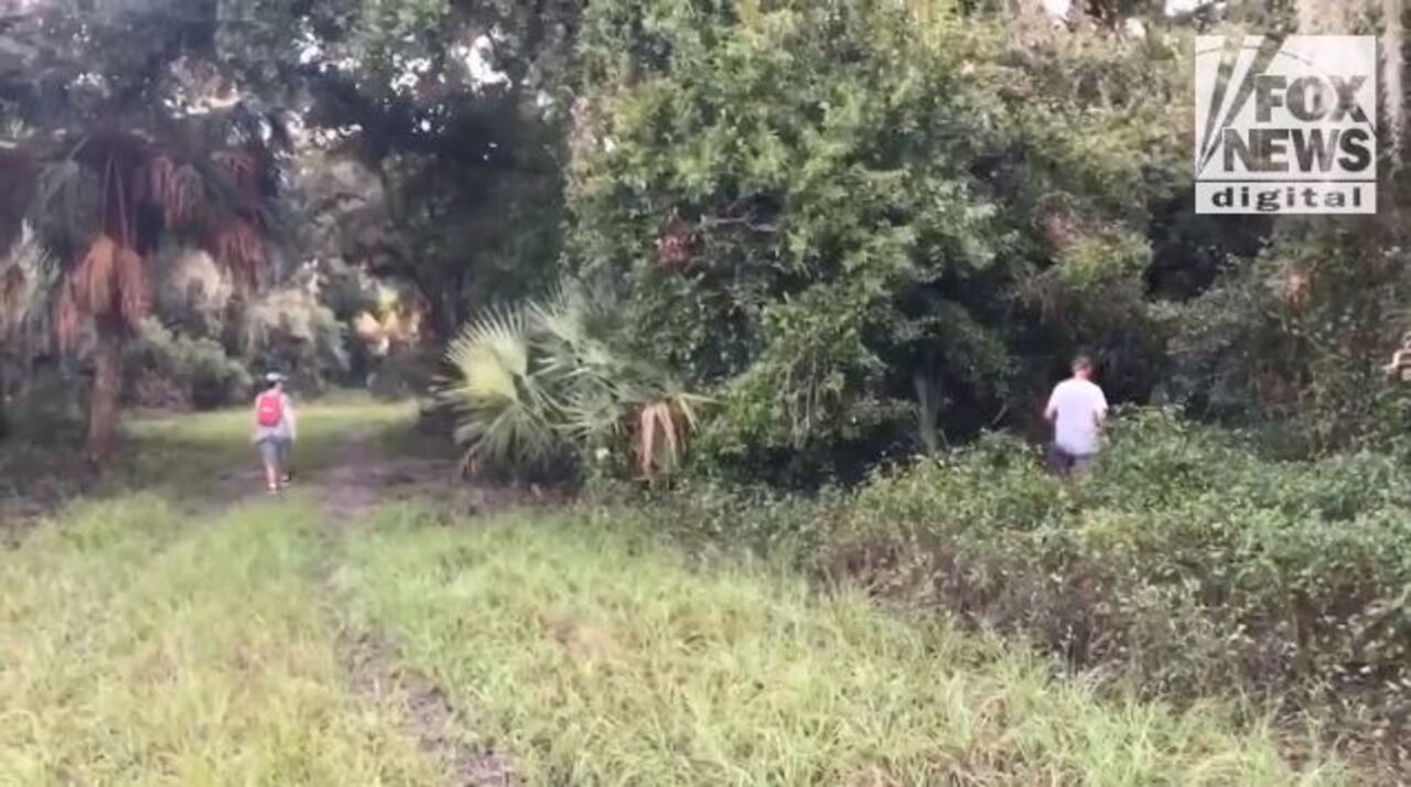 EXCLUSIVE: Brian Laundrie's parents search Florida park near North Port home