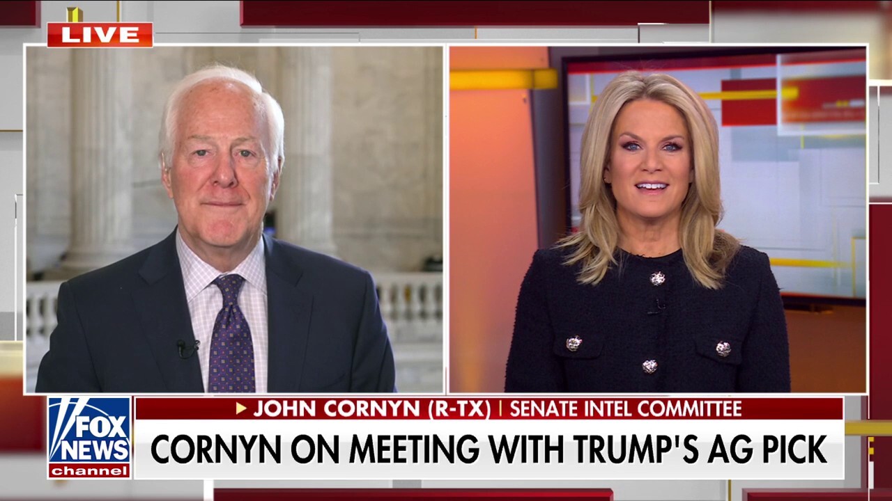 This was a change election, DOGE adds to it: Sen. Cornyn