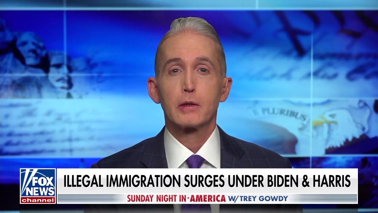 Gowdy: Biden will be forced to confront the country's true perspective on immigration come November