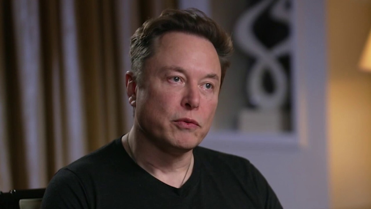 Elon Musk: Inflation's going to happen no matter what