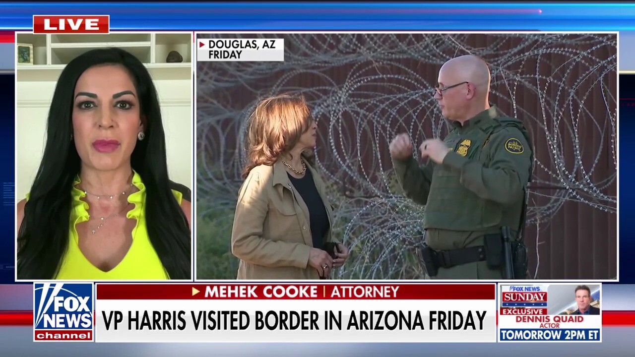 Kamala Harris' border visit was 'career ending for her,' Mehek Cooke says