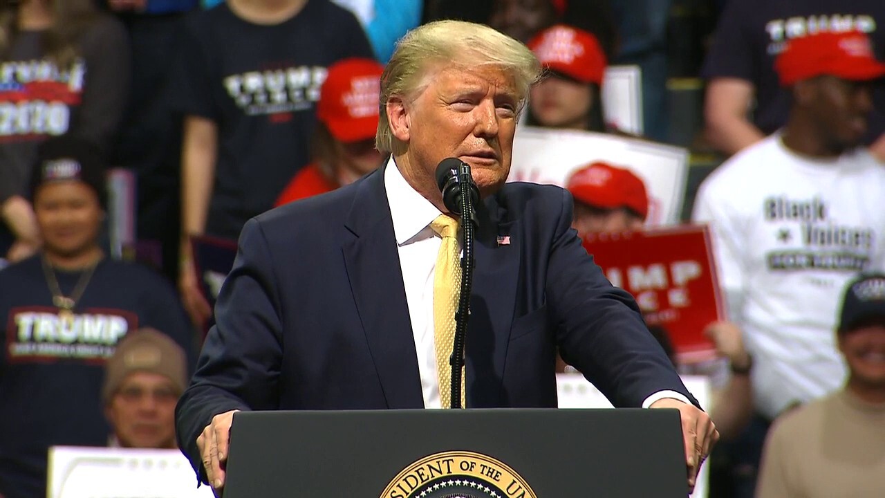 Trump: 'We are winning as Washington Democrats are losing their minds'