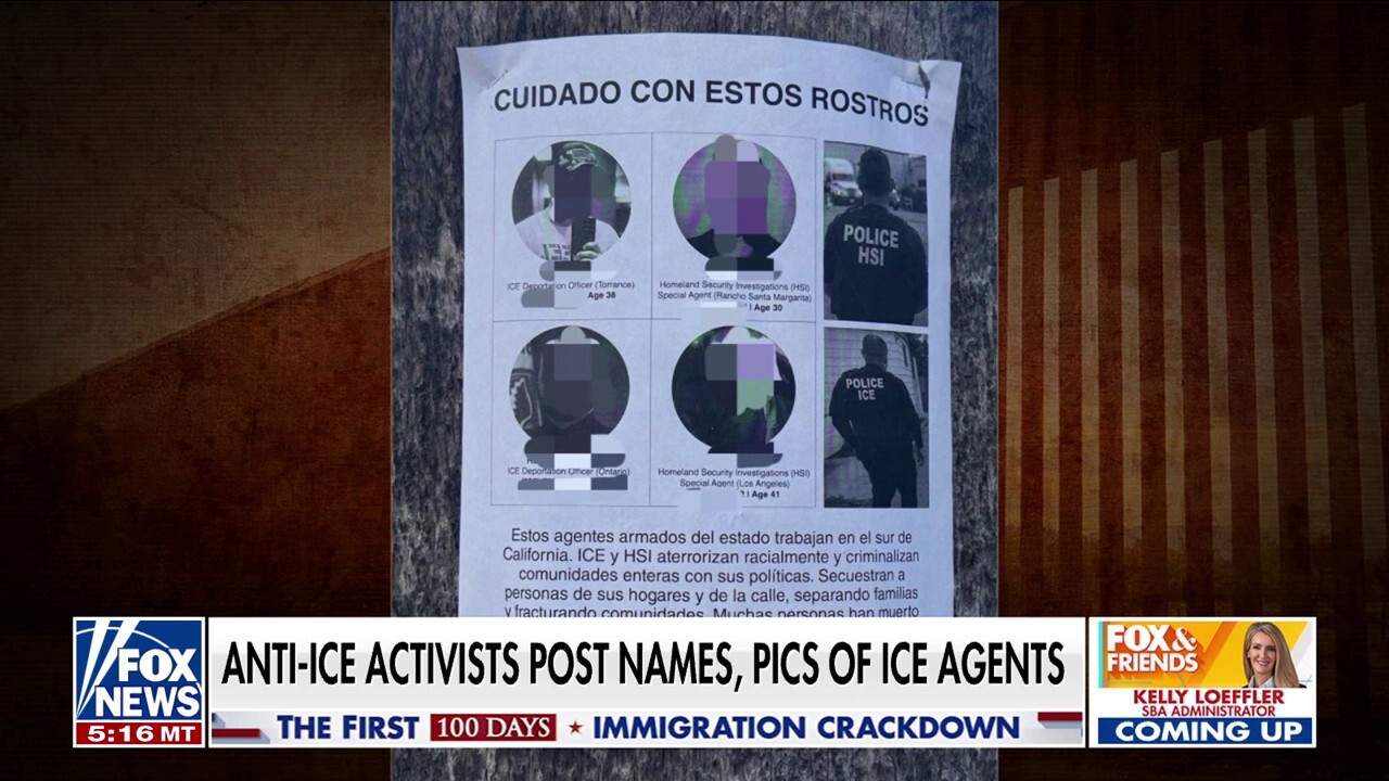 Anti-ICE activists dox Los Angeles agents amid migrant crackdown: 'Targets on their backs' 