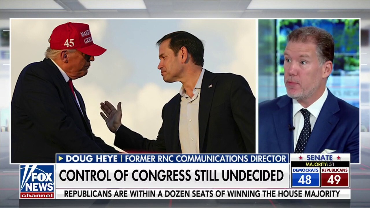 Republicans had too high expectations for the midterms: Doug Heye