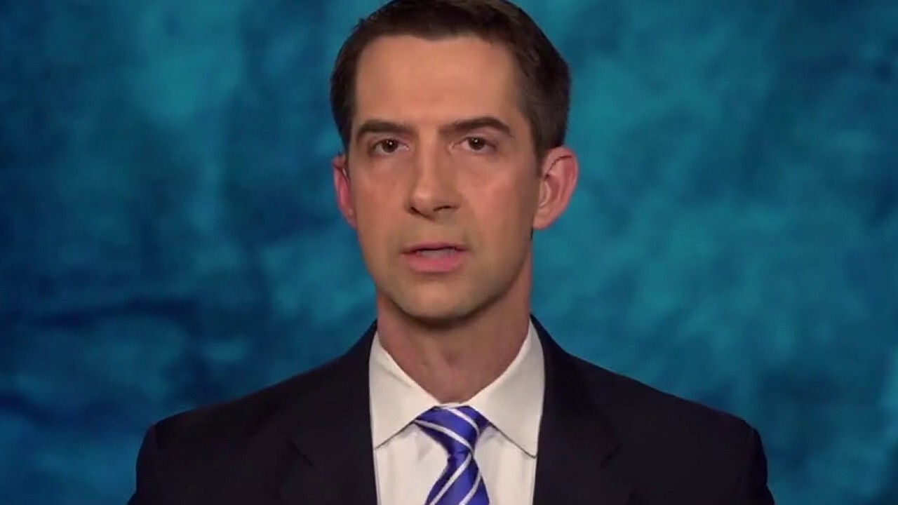 Tom Cotton: Impeachment inquiry over border 'not out of realm of possibility'