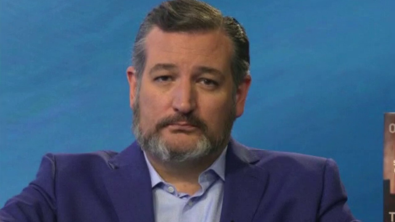 Sen. Ted Cruz on Bush, Gore election coming down to Supreme Court