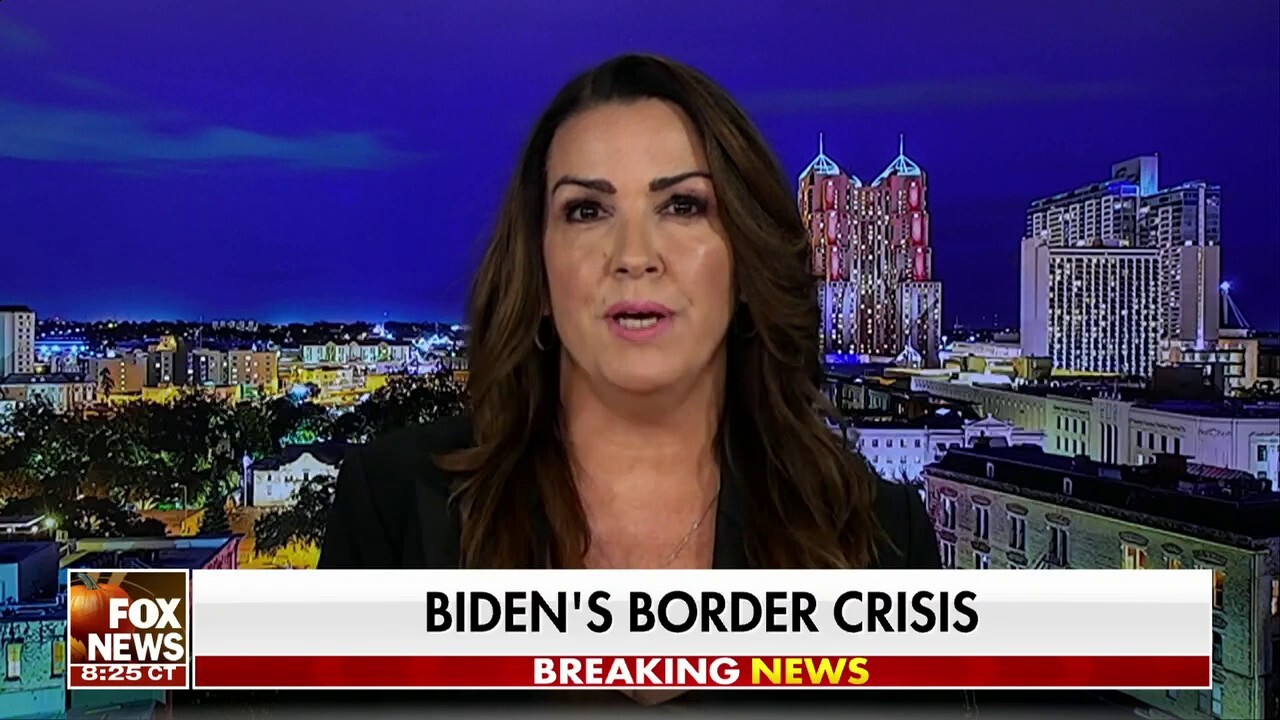 Sara Carter: America's border issue is a 'humanitarian crisis'