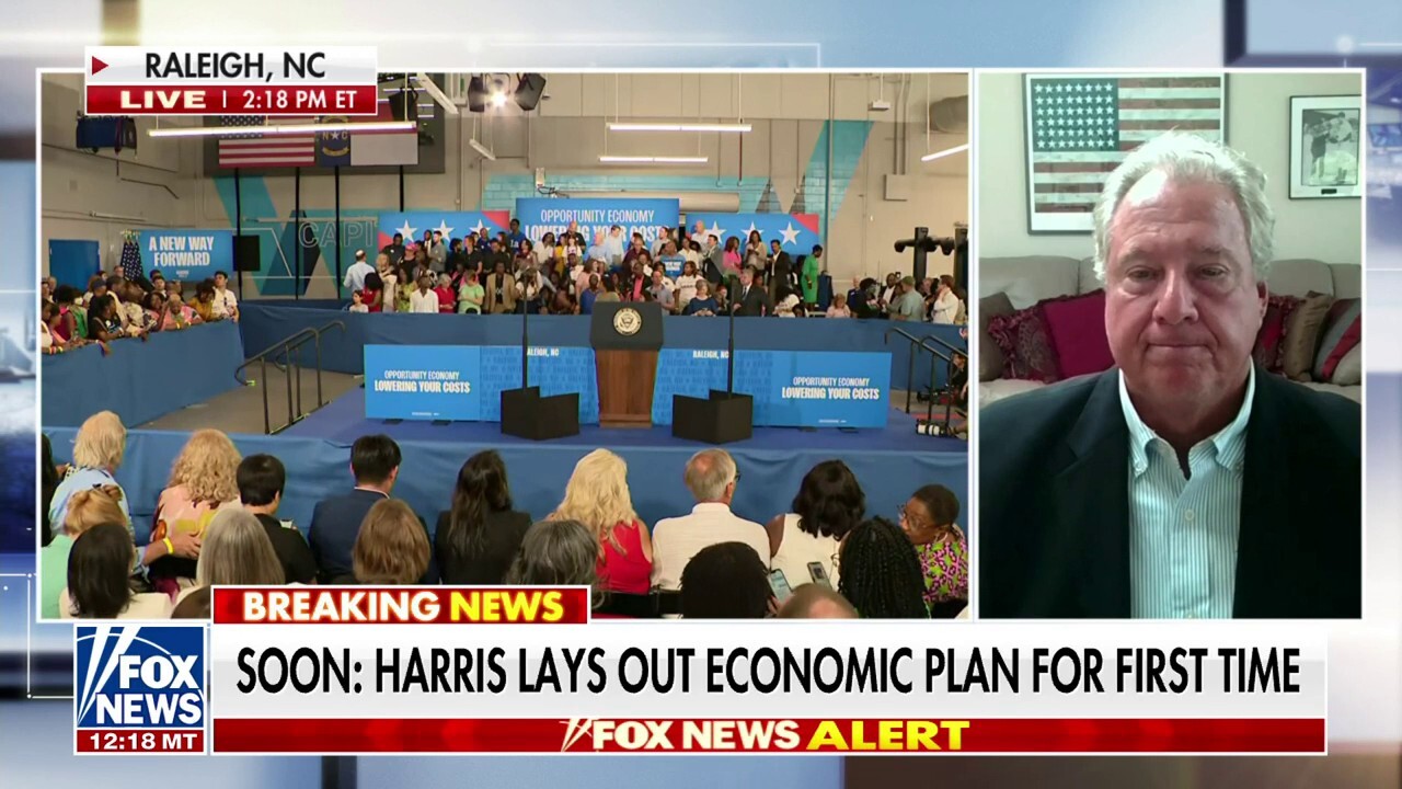 Robert Wolf: Kamala Harris' plan will be about lowering costs, making things more affordable