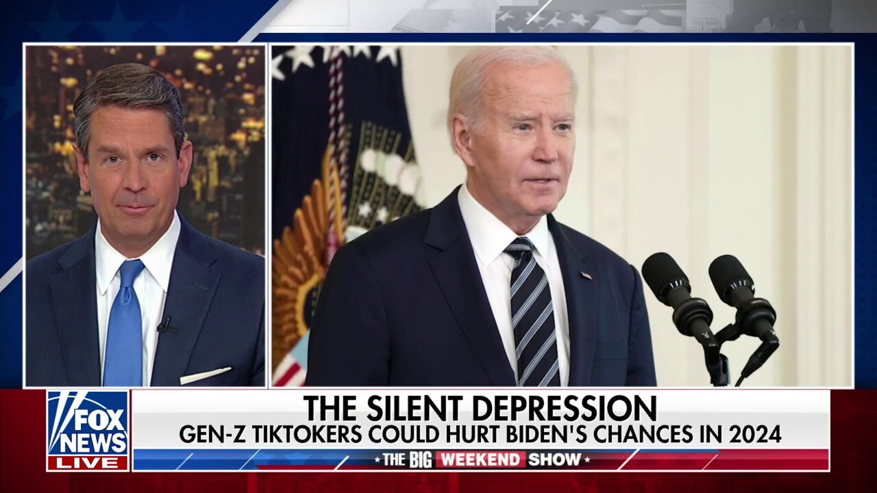 Would a TikTok help Team Biden?