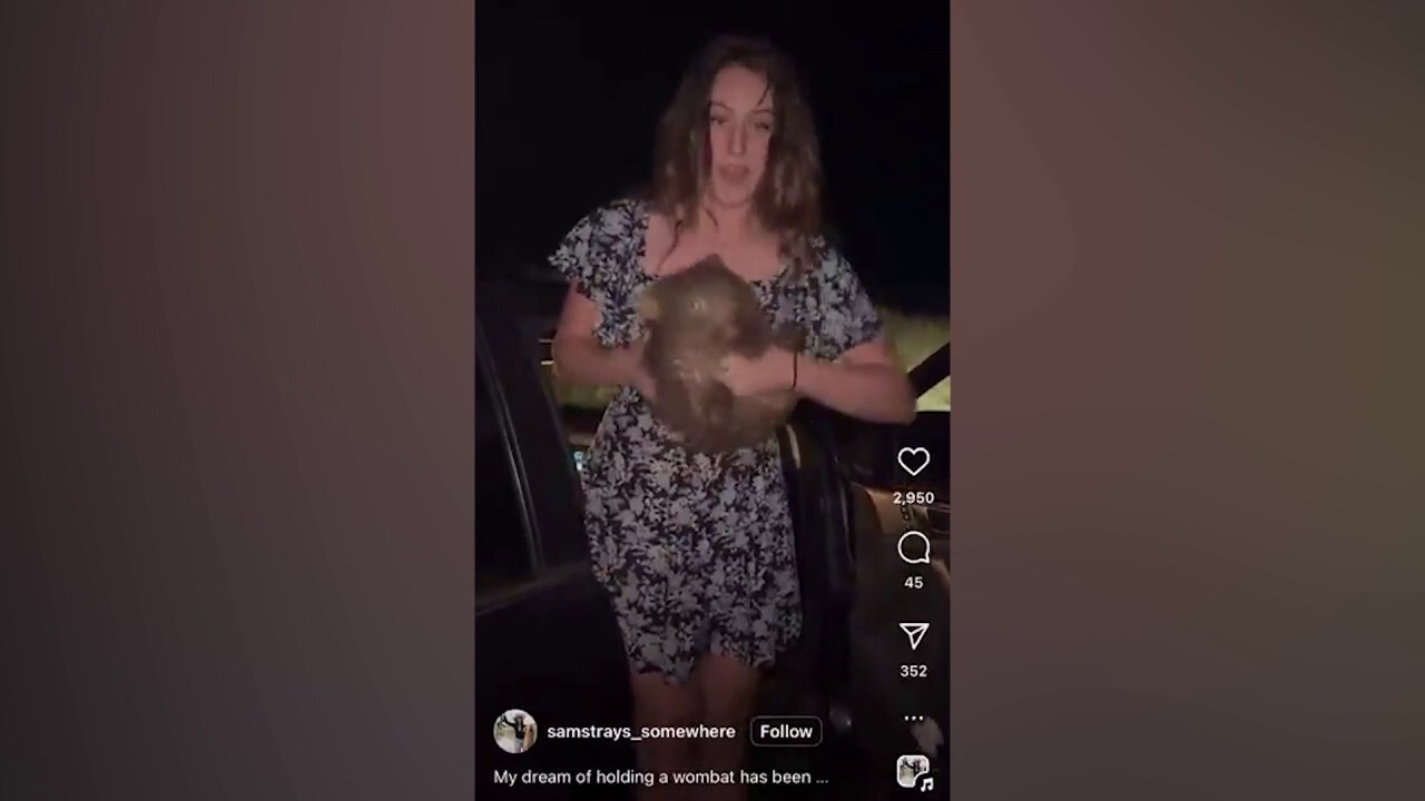 American tourist causes international outrage after posting wombat video