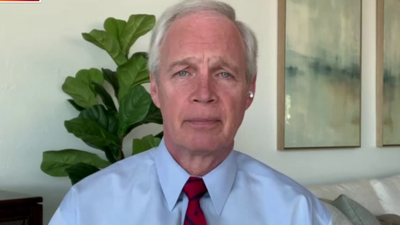 Sen. Johnson: Sweeping 'very serious' election concerns under the rug simply won't work