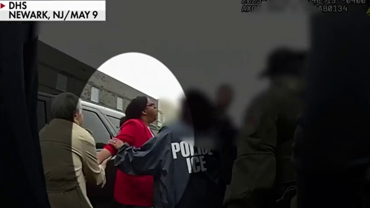  'THEY NEED CHAOS': Democrats shredded after backing lawmaker facing charges in ICE scuffle