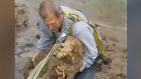 Kentucky man rescues dog trapped on a river bank