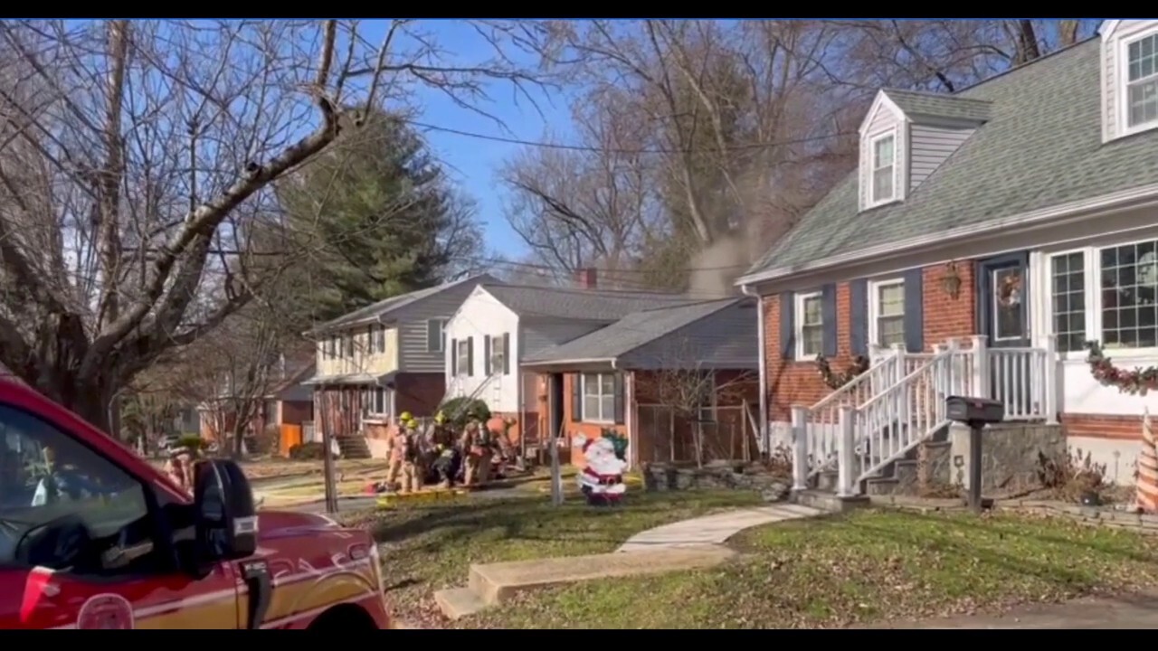 Maryland postal worker credited with saving two dogs trapped inside burning home