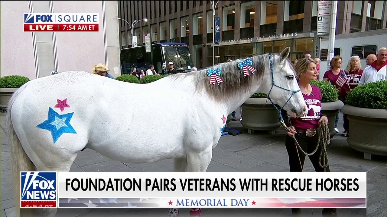 Warrior Ranch Foundation pairs veterans with rescue horses