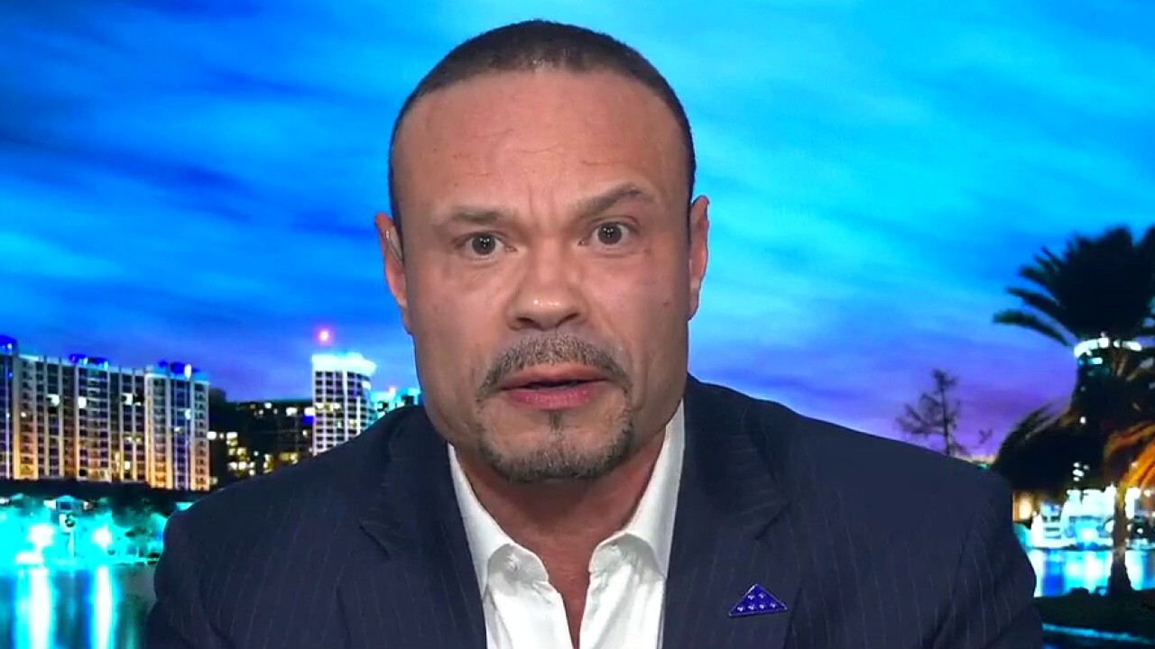 Dan Bongino On Impeachment Trial Witness Speaking Out | Fox News Video