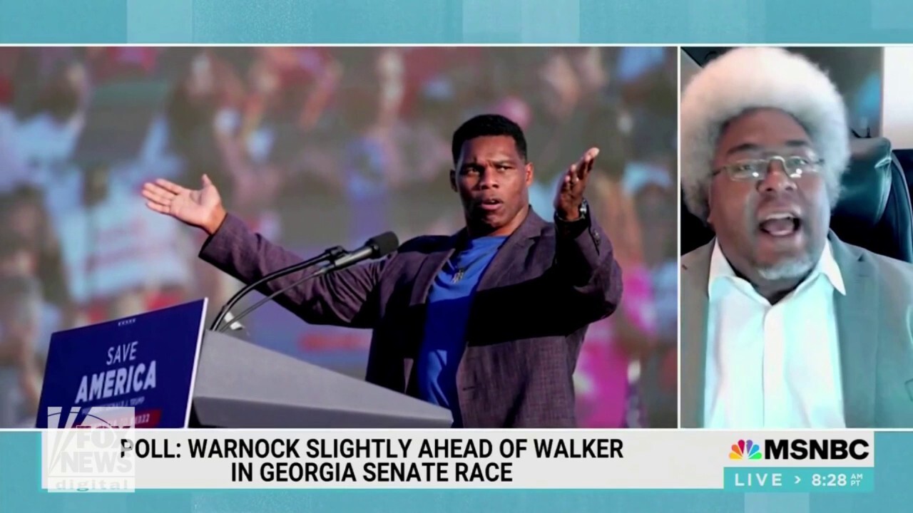 The Nation's Elie Mystal calls Herschel Walker 'what Republicans want from their Negroes'