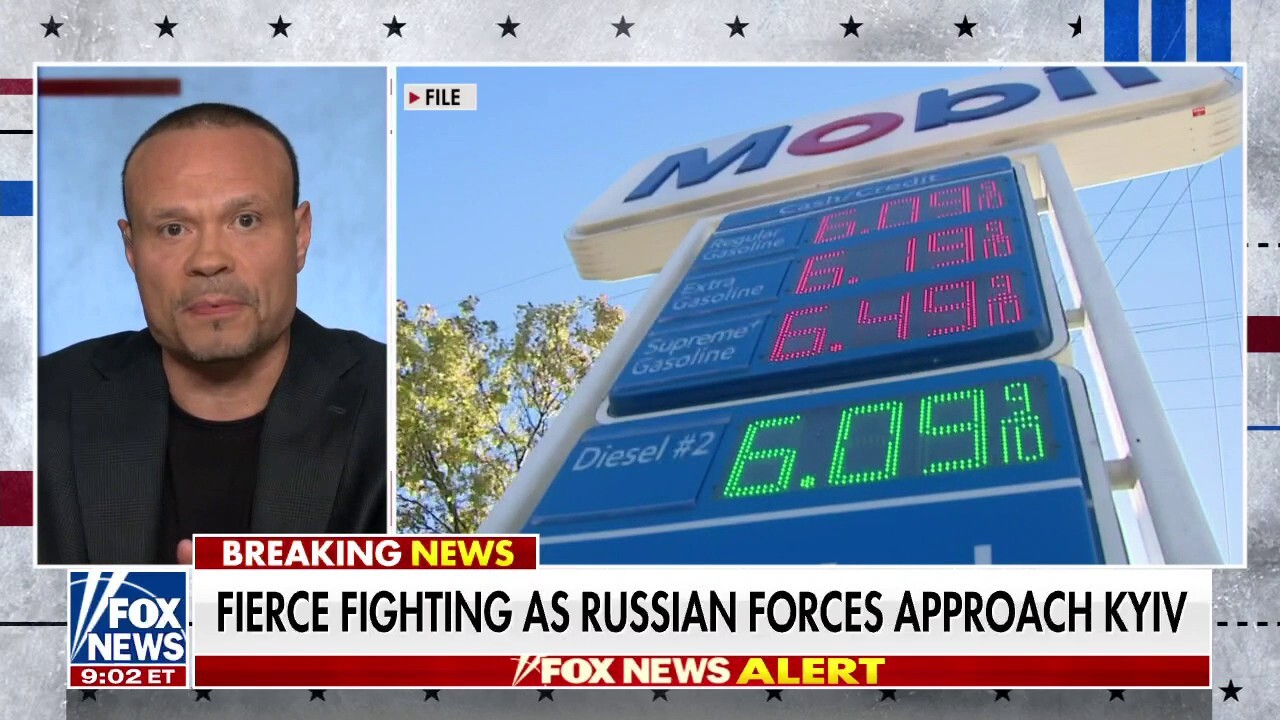 Biden administration is responsible for everything you're seeing: Dan Bongino