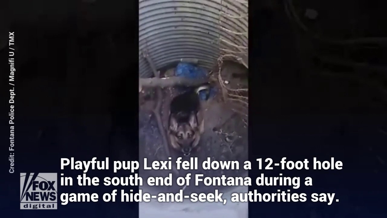 German shepherd rescued from 12-foot hole in California