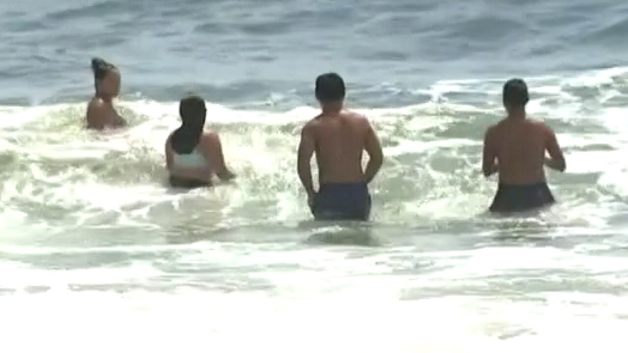 Should swimmers be worried about the increase in shark sightings off the East Coast?