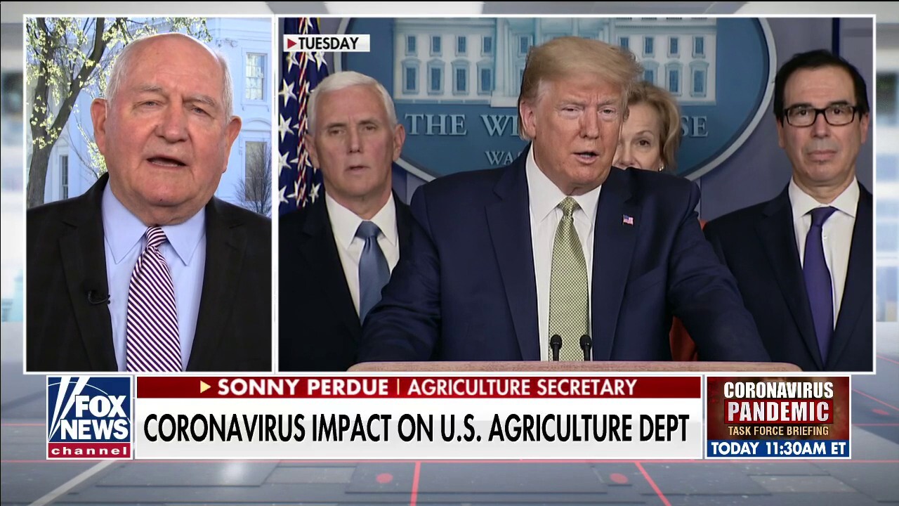 Agriculture Sec. Perdue on Trump's food supply chain strategy