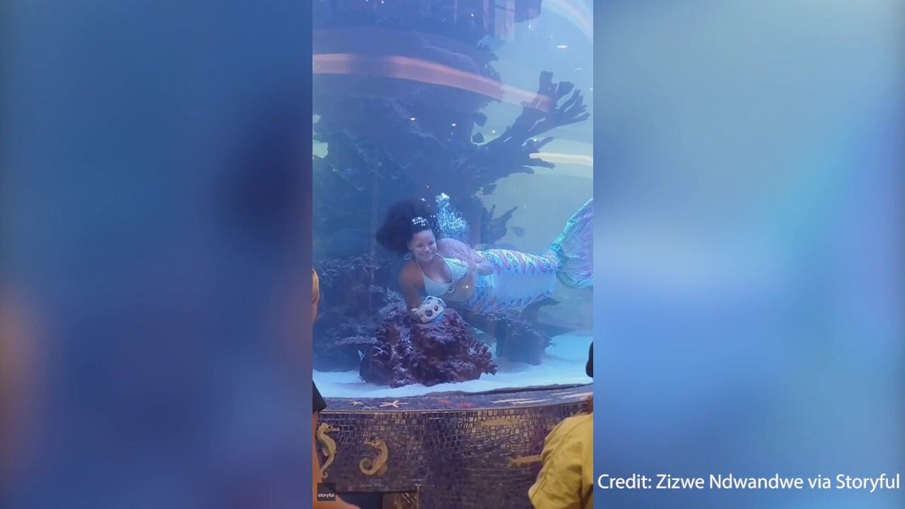 Quick thinking ‘mermaid’ escapes drowning after tail gets caught in aquarium tank