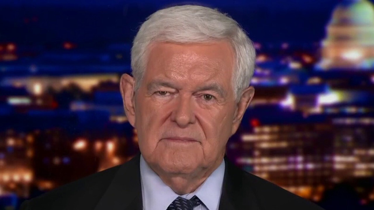 Gingrich calls on Americans to urge their congressmen to stop the spending bill