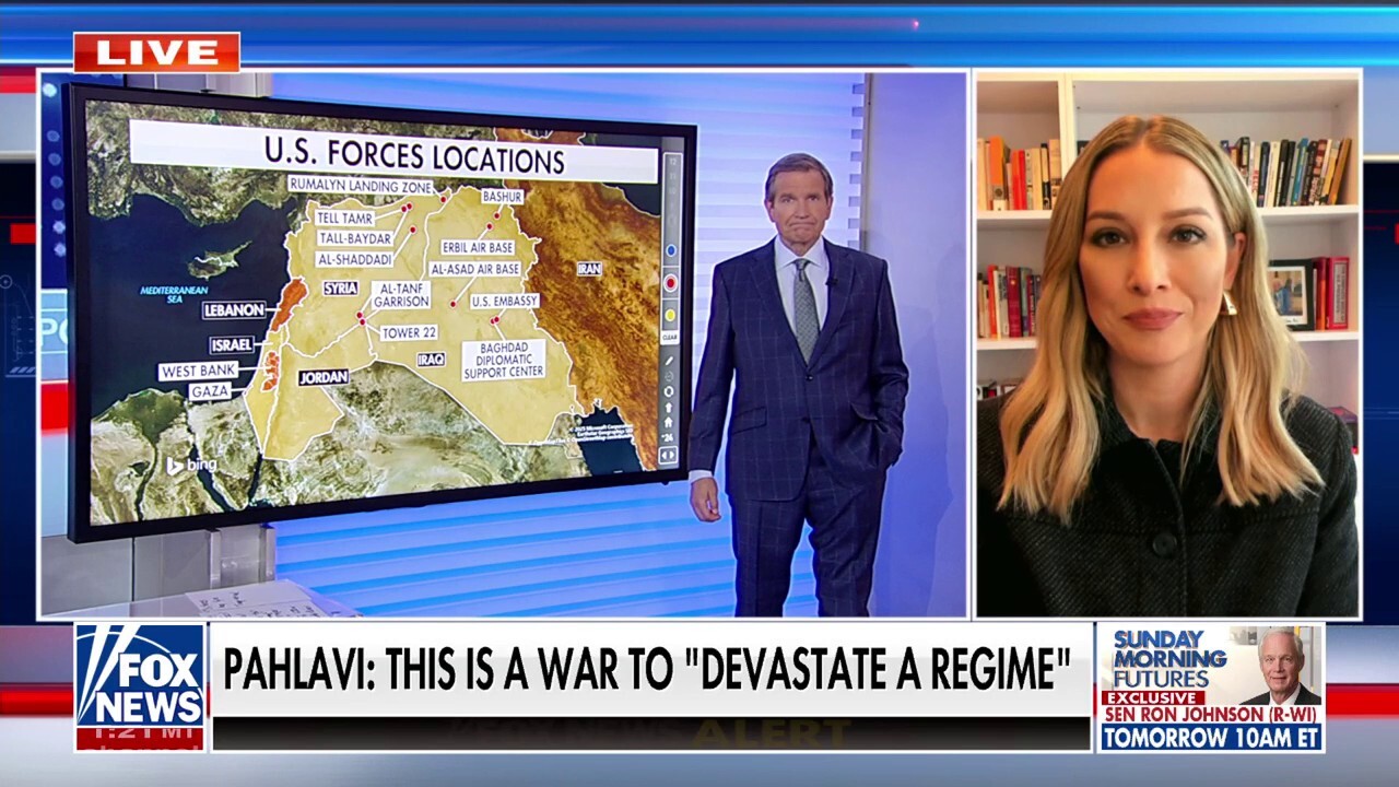 Trump is ‘past the point of a public opinion question’ on Iran, now it’s a ‘national security question,’ says political scientist