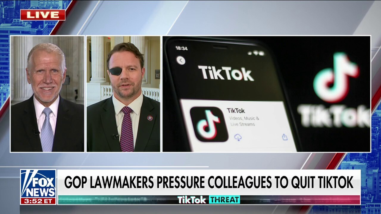 Dan Crenshaw warns of TikTok's data security threats for American users
