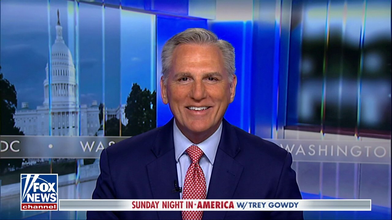 Kamala Harris is the 'most liberal person ever to run for president': Kevin McCarthy 