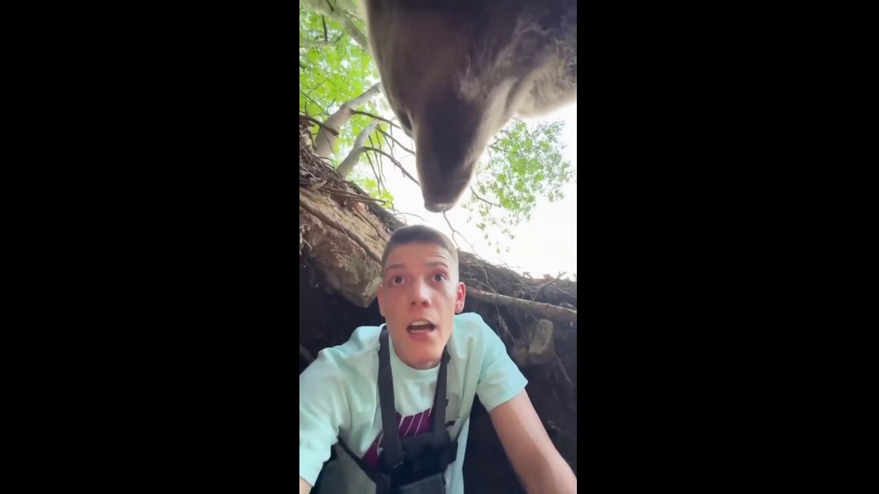 Influencer captures his close bear encounter on video