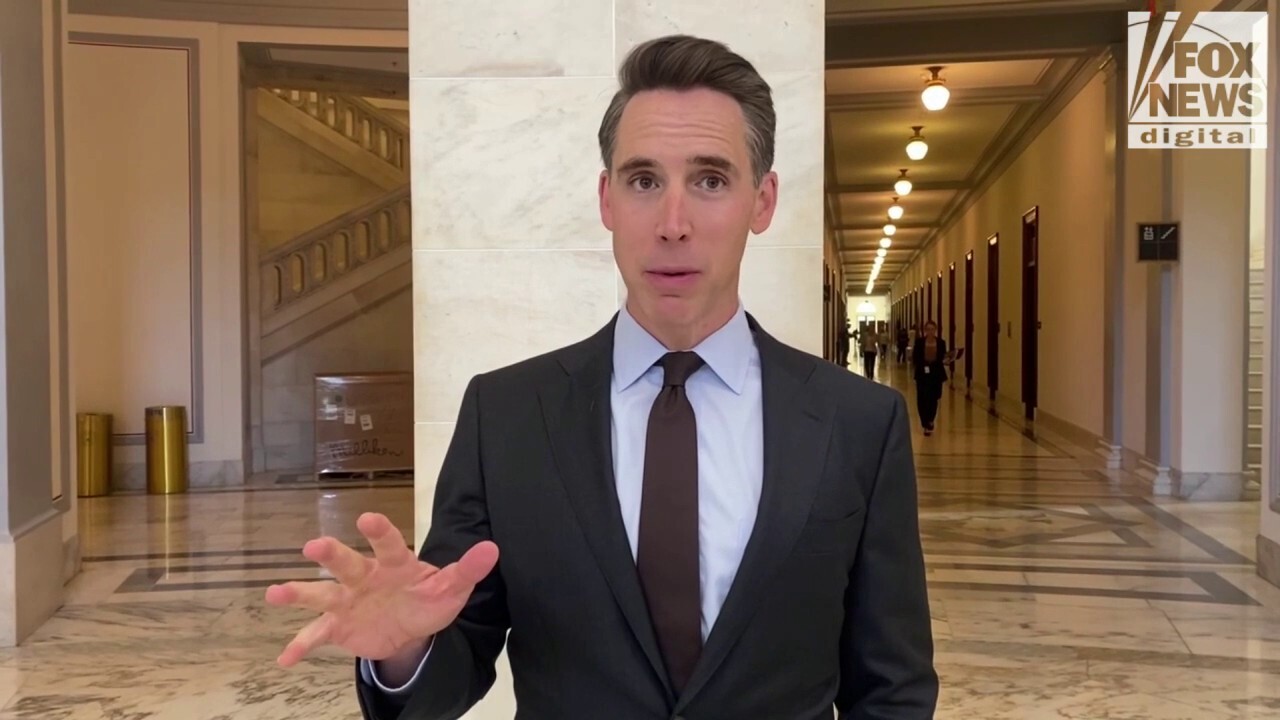 GOP Sen. Josh Hawley rebuked Senate leaders for holding closed-door AI hearing and shared his concerns with the technology