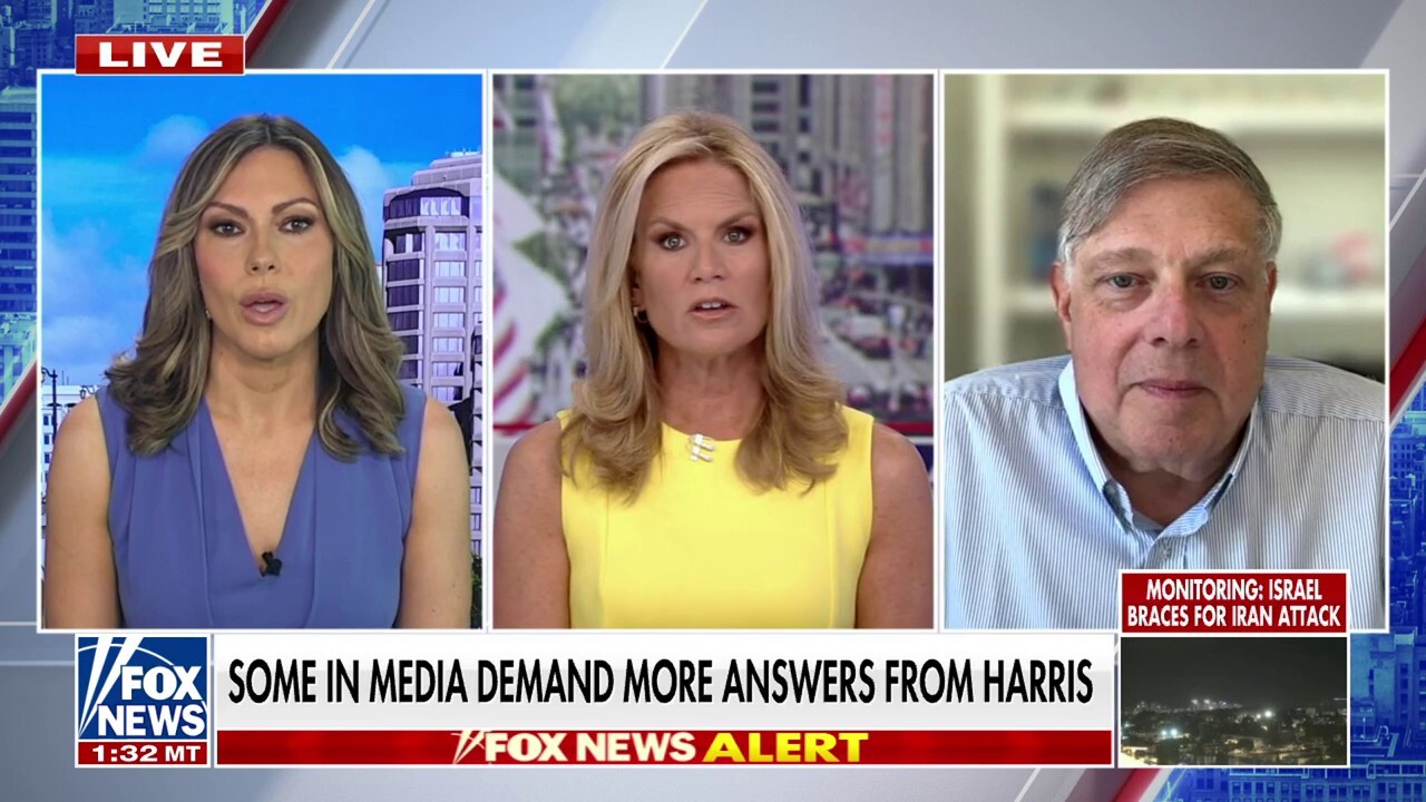 Lisa Boothe: Trump is 'running against almost the entirety of the media'