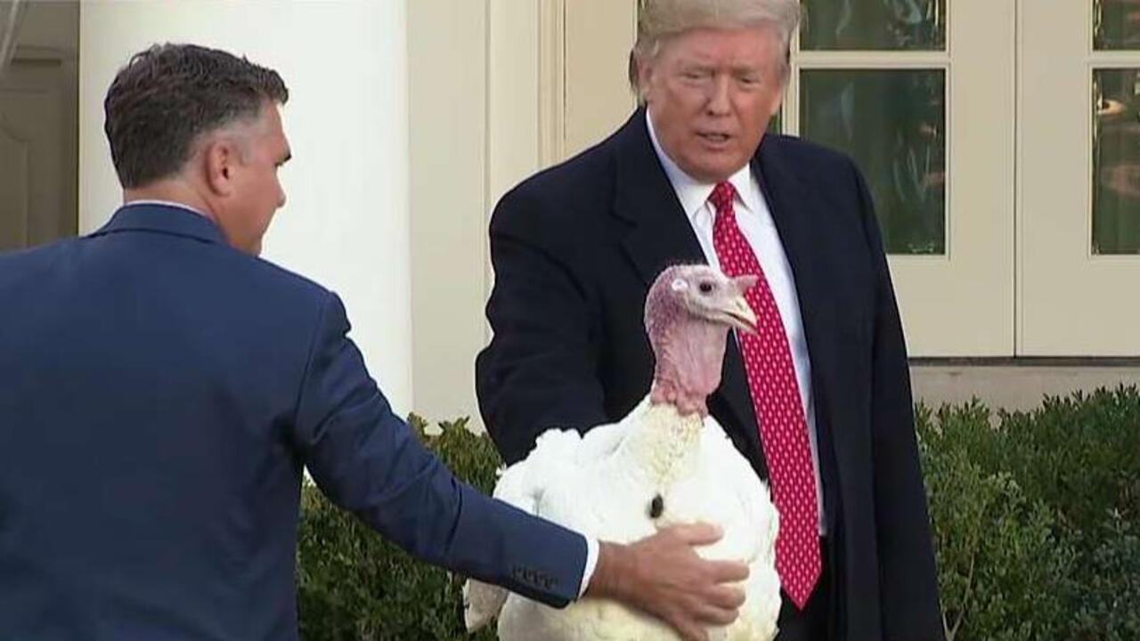 President Trump Pardons The National Thanksgiving Turkey Butter And Its Alternate Bread 8681