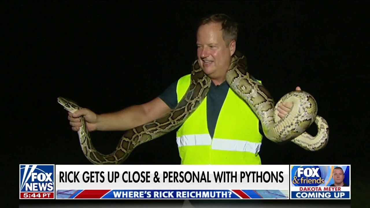 Fox News chief meterologist Rick Reichmuth goes hunting for pythons in the Florida everglades and 'Fox & Friends Weekend' hosts handle snakes in-studio.