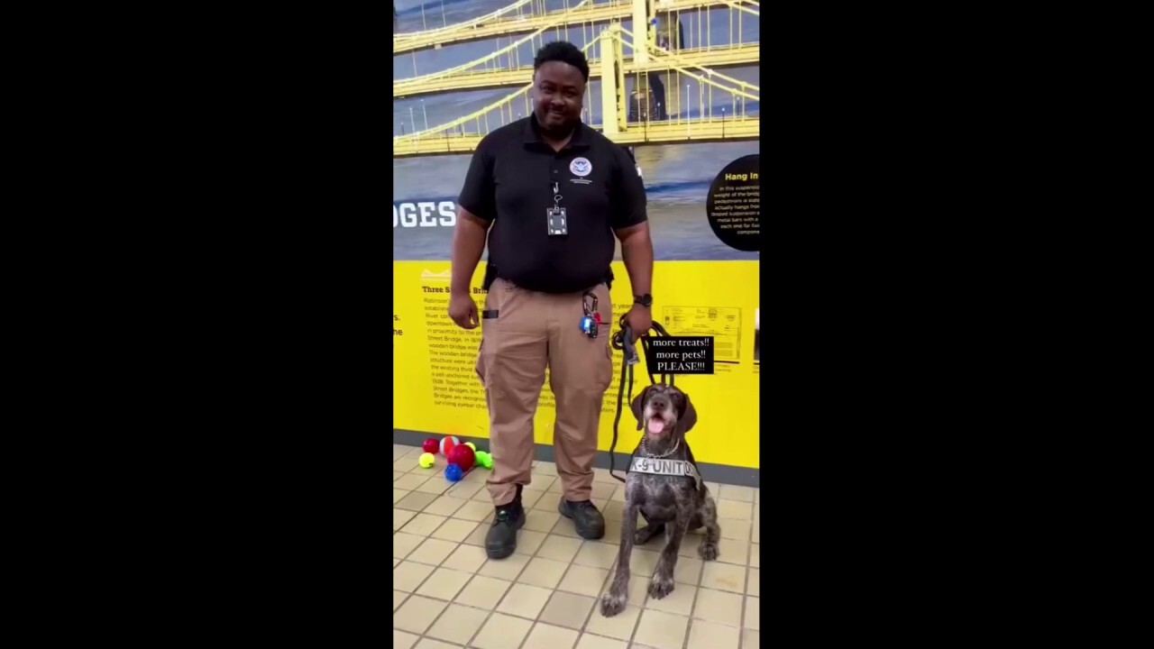 Pennsylvania K-9 gets retirement party with toys and treats