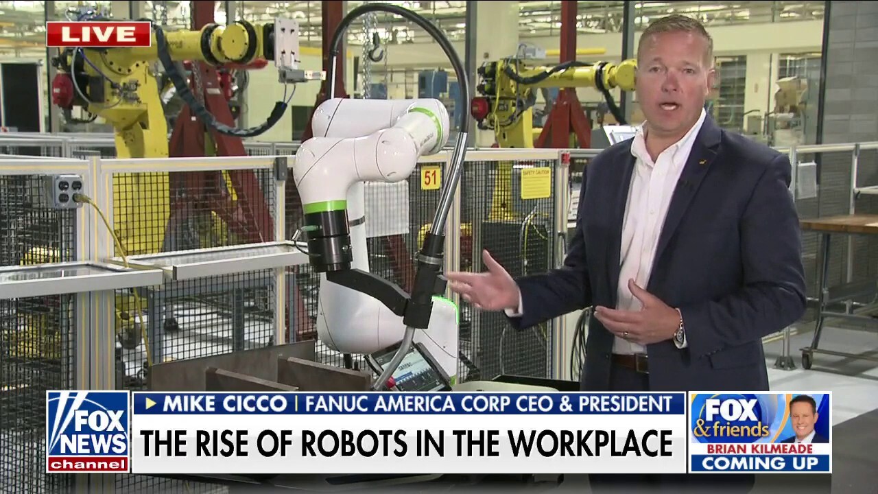 Human component is key to industrial robotics: Industry CEO