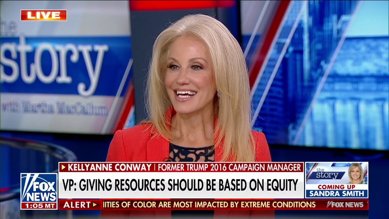Kellyanne Conway: This is what Democrats want the midterms to be about
