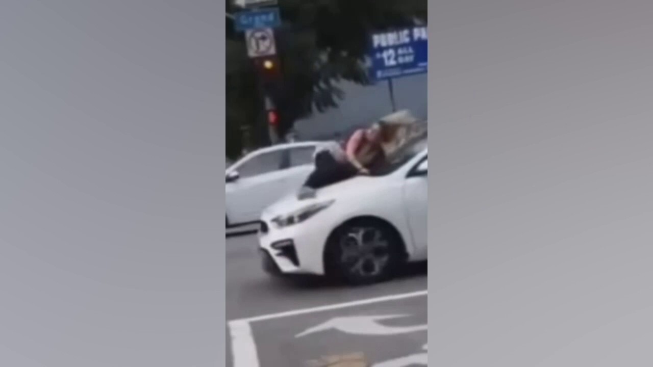Видео показва как жена се е вкопчила в капака на кола, след като крадци са откраднали нейния френски булдог