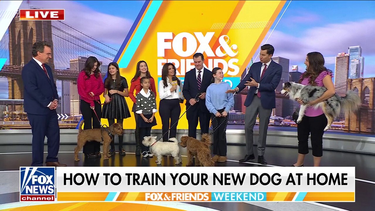 Dog trainer shares tips and tricks for raising puppies