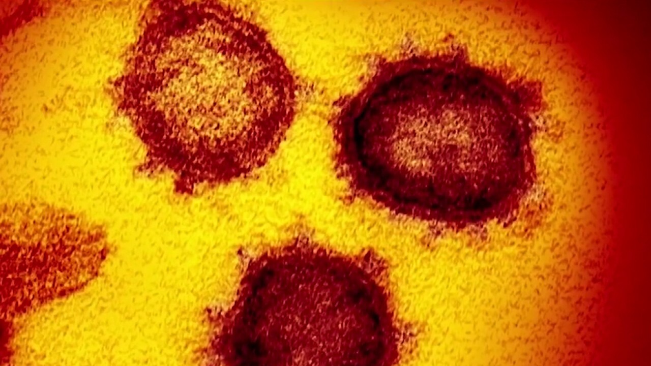 Coronavirus containment strategy relies on technology