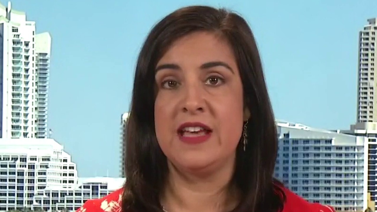 Nicole Malliotakis: Drug cartels have taken over border with US authorities preoccupied by migrant surge