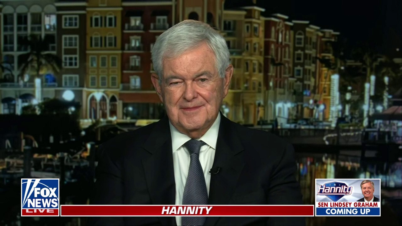 Trump is beginning to 'find his stride': Newt Gingrich