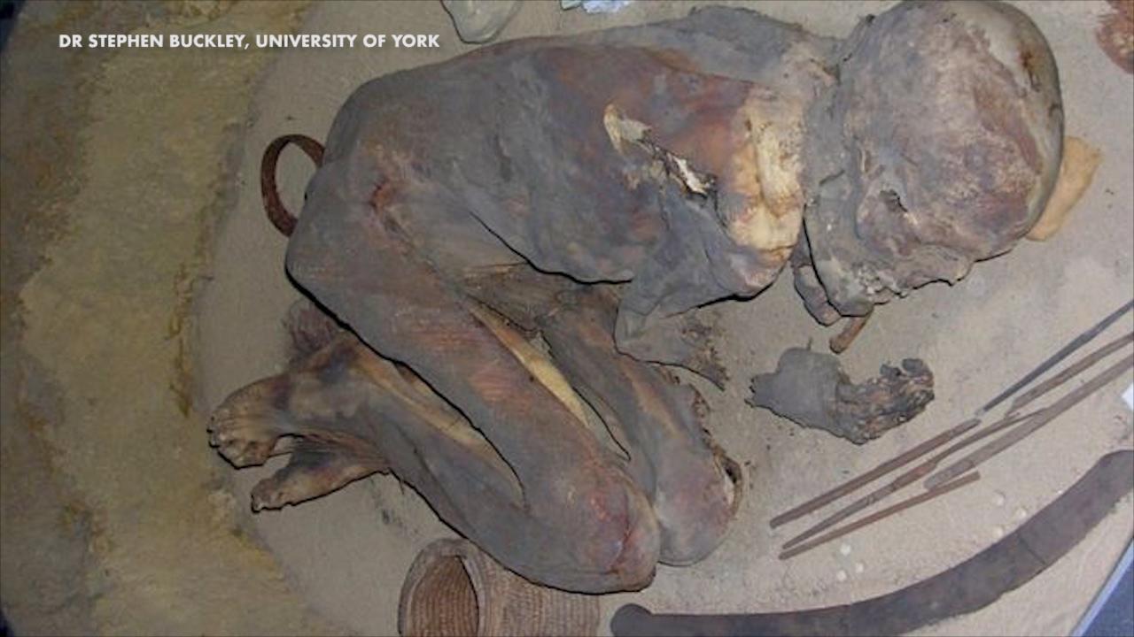 Ancient Egyptian Mummy embalming 'recipe' revealed
