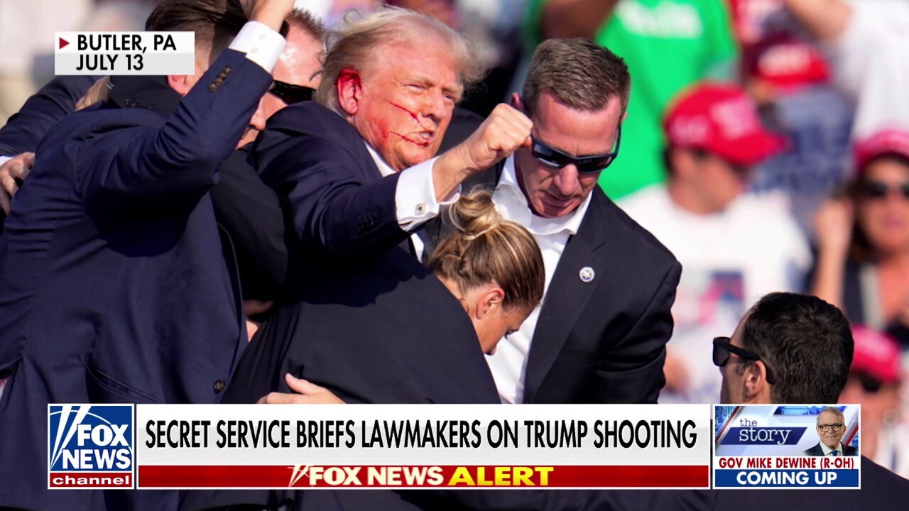 Secret Service had 'complete breakdown in communication' during Trump shooting: Rep. Michael Waltz