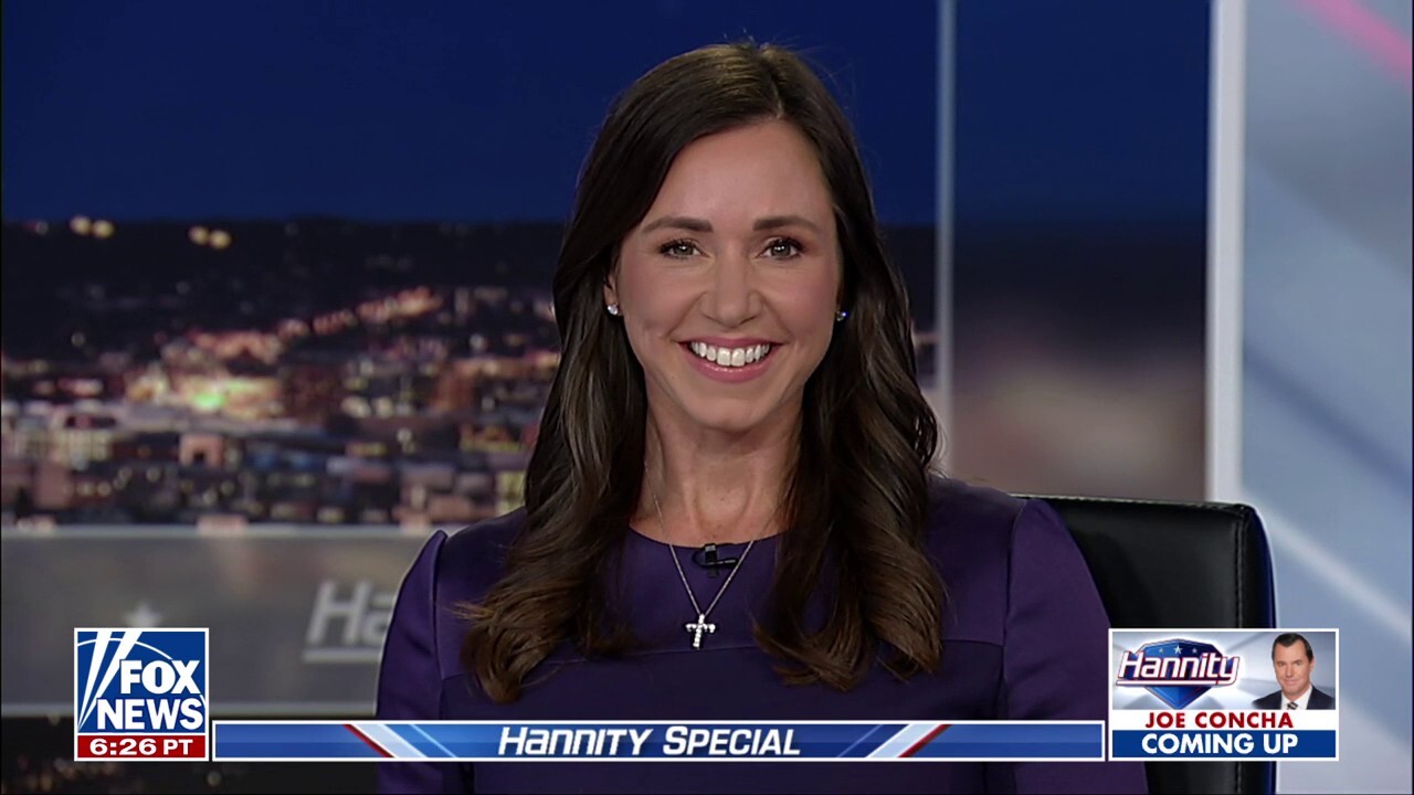 Sen. Katie Britt, R-Ala., discusses the Democratic protestors that were outside of an ICE facility in New Jersey on ‘Hannity.’