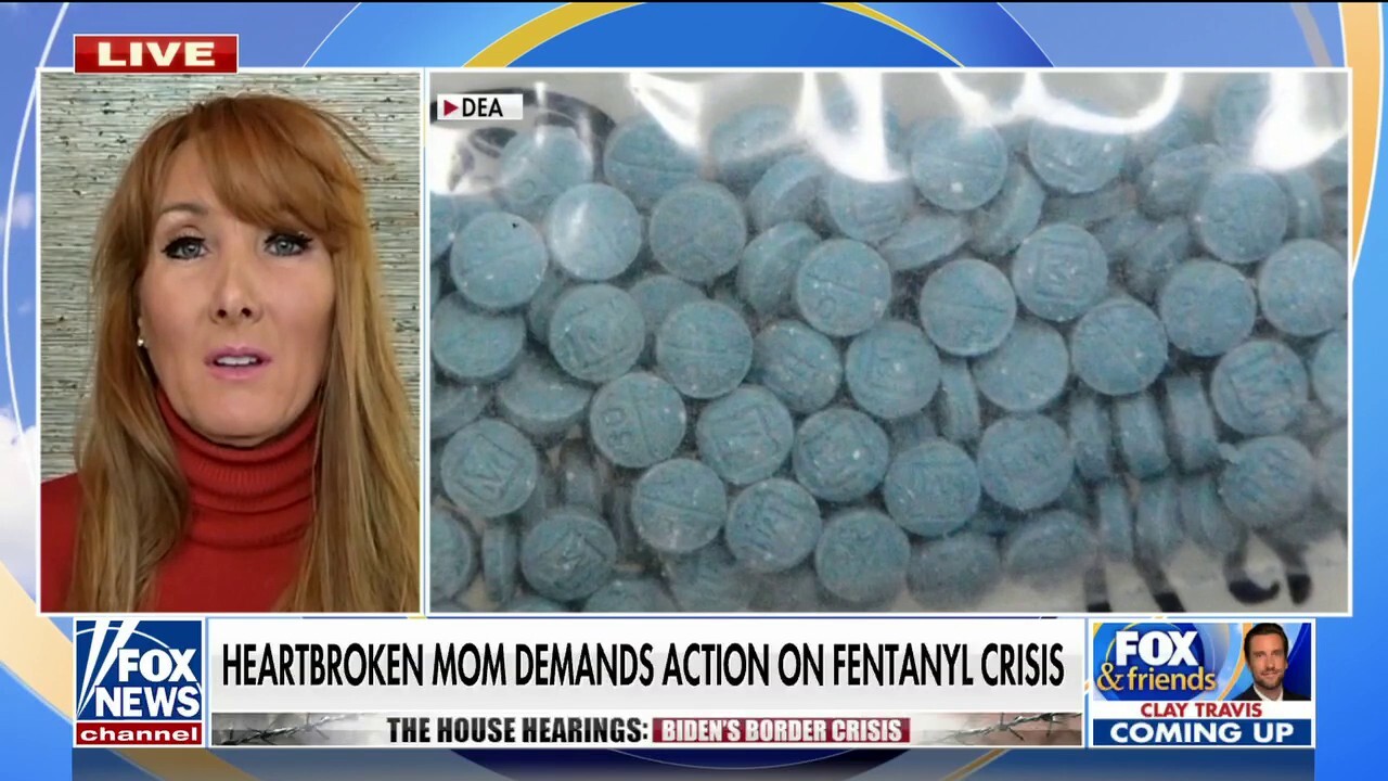 Mom whose sons died from fentanyl blasts Democrats after House hearing: ‘We have reason to be afraid’