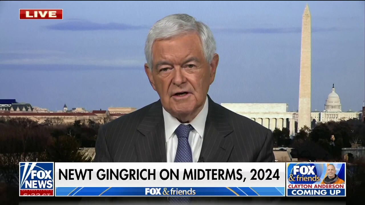 Newt Gingrich rips 'deluded' Biden admin ahead of midterms: 'Living in a fantasy world'