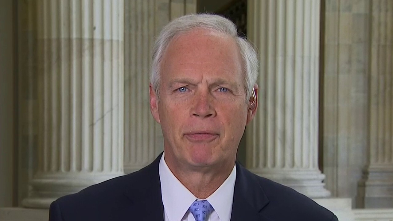 Sen. Ron Johnson: There has been a ‘concerted effort to sabotage Trump administration’