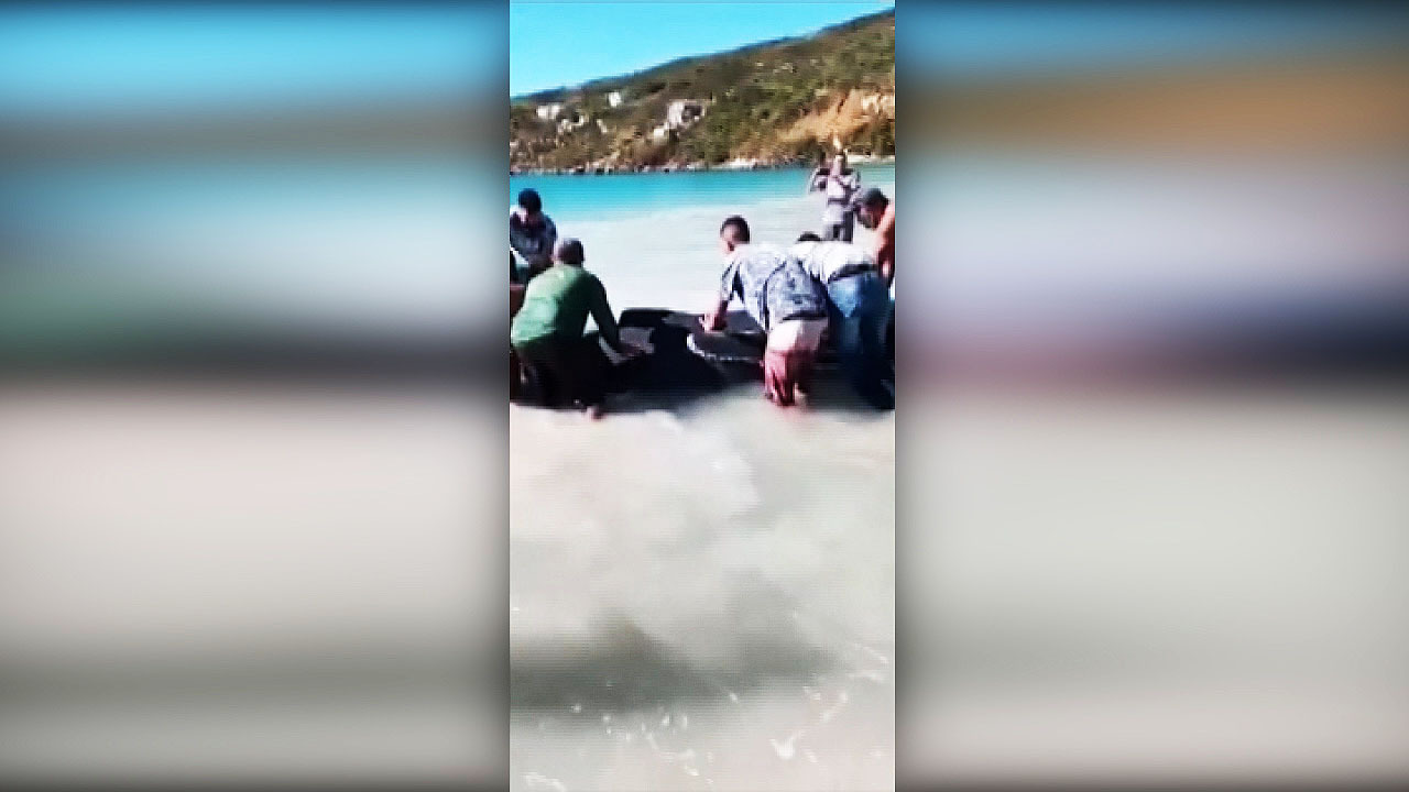Stranded humpback whale calf rescued at well-known tourist beach in Rio de Janeiro